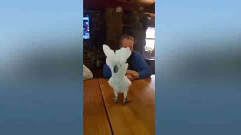 国产精品一区二区色爱仙踪林 如何在清晰的仙踪分区框架下