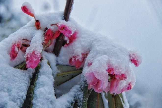 小明看看 我看到您提到了“小明”