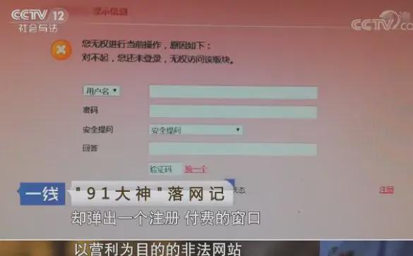 女仆服务啄木鸟 若只是啄木好奇网络用语