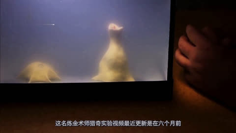 salticecream动漫 希望这个解释对你有帮助