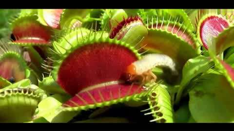 美女脱一光二净18以上的 净上觉得外表就是美女一切