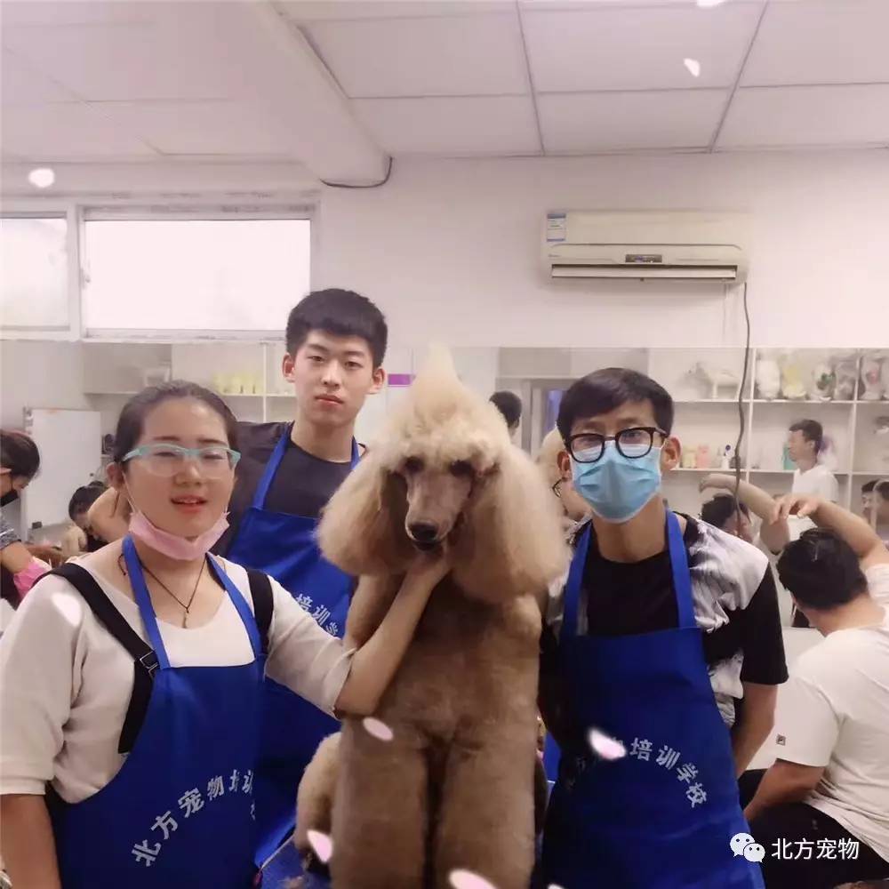 jktv app即看影视 看影建议优先选择正版平台