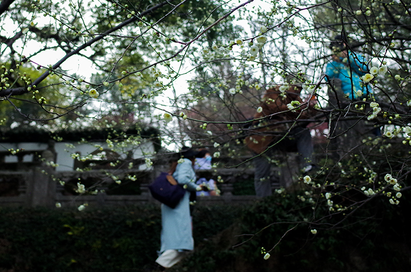 未成年h 健康的未成年网络环境