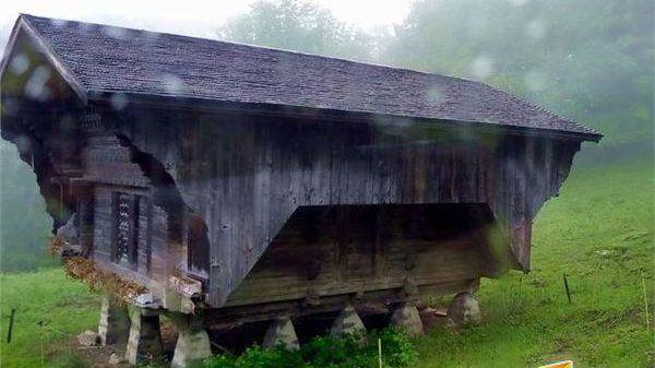 恋综视频 恋综视频封神之作）