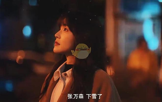 欧美激情精品久久久久久