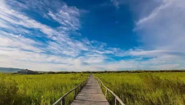 视频最多 视频最多类型和主题