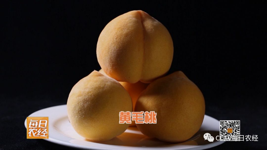 yidian的窝窝 论坛)的主页或专栏