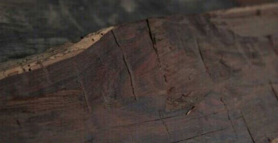 阴道检查视频 易懂的科普动画和讲解视频