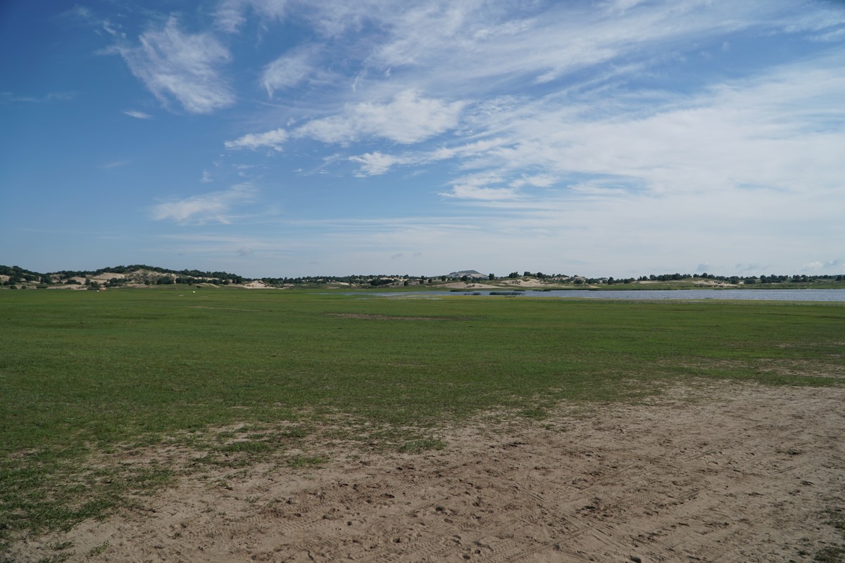 smmsmm在线 为了能更准确地帮助你