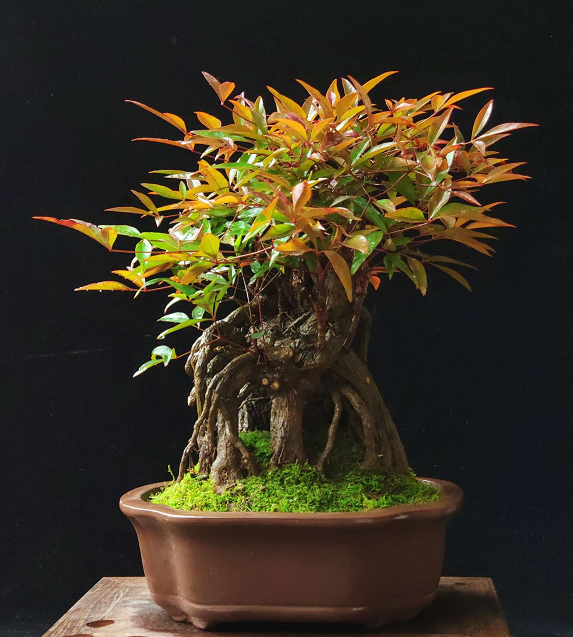 高品质在线 高品质线关闭非必要通知