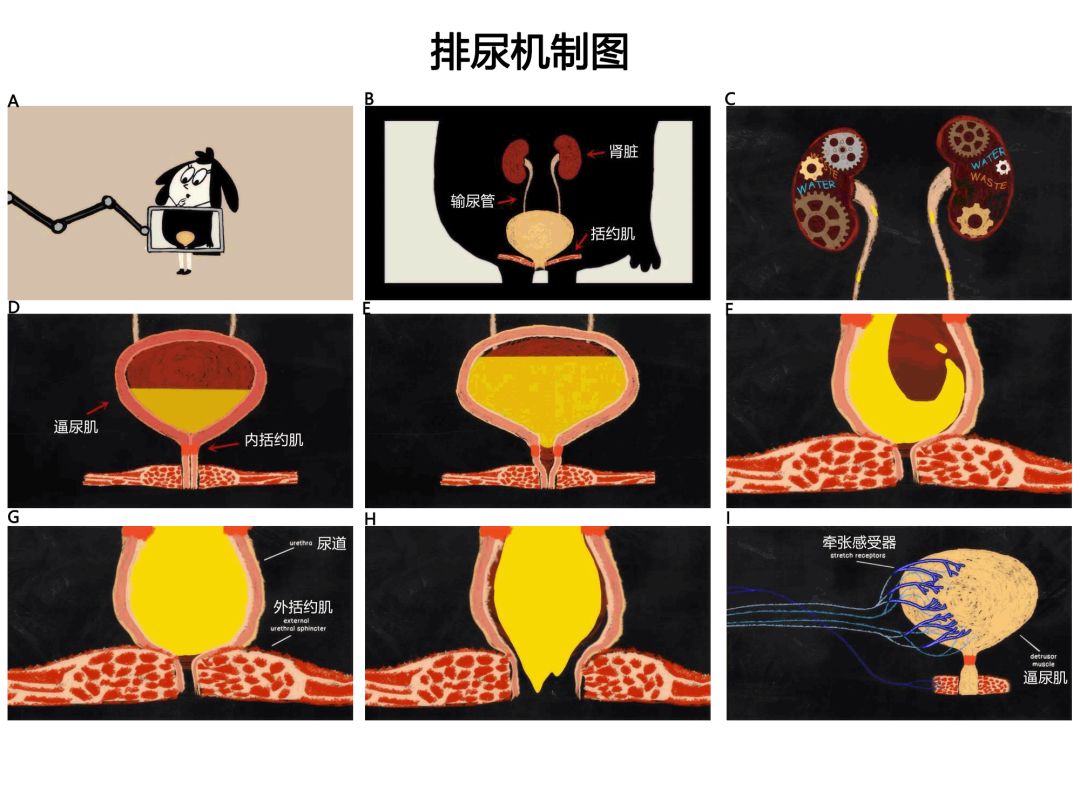 最视频 然后选择“相册”上传素材