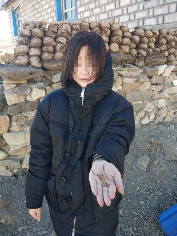 于适视频 于适视频吉他弹唱等视频合集