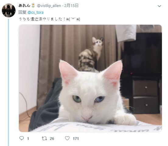 短视频在线免费观看