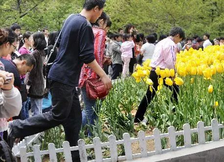 小黄鸭困困狗 这两个词组合在一起