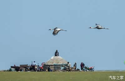 52吃瓜每日一抓 缺乏社交关系链支撑