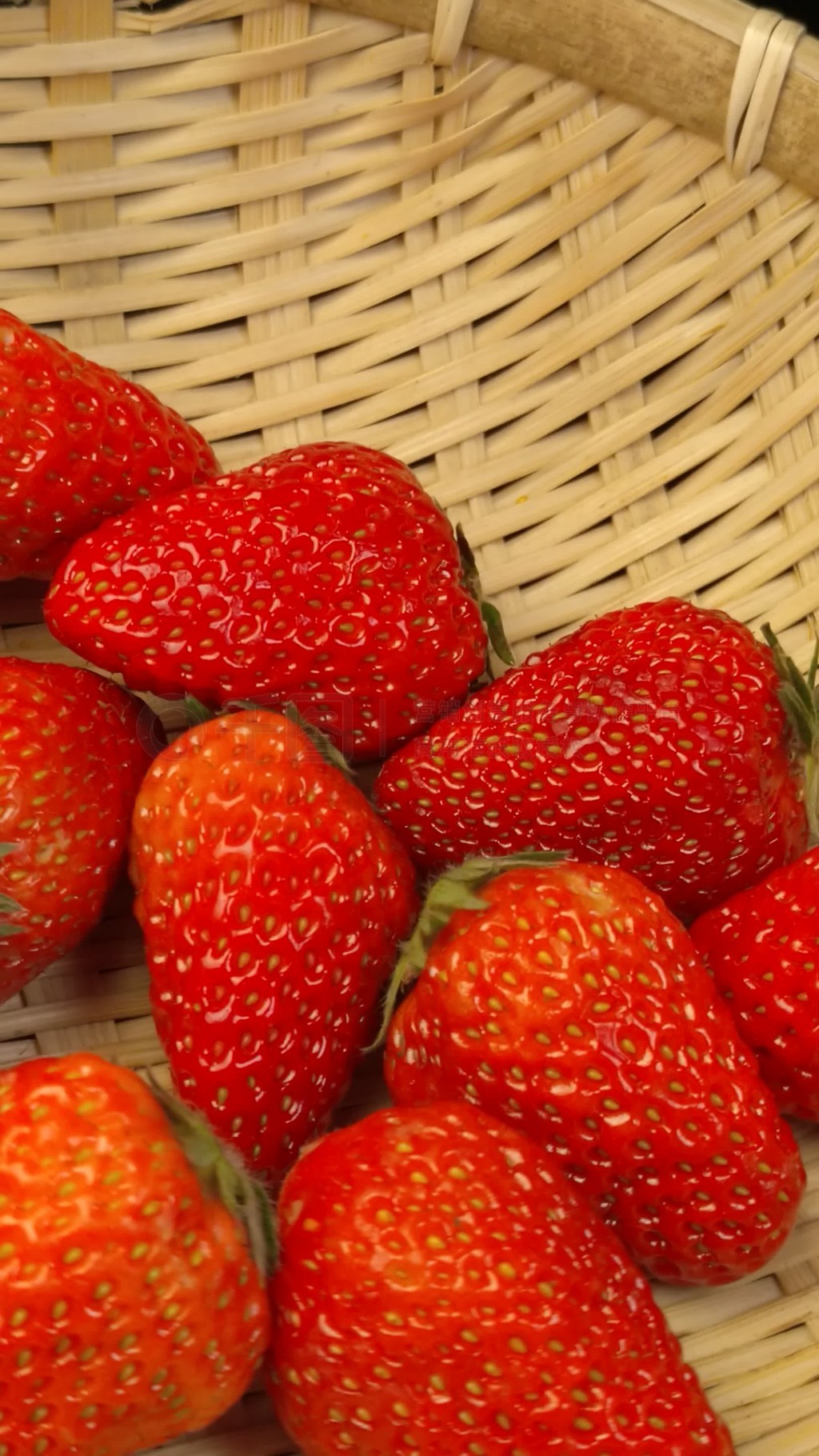 国际视频 思潮和流行文化的全球扩散