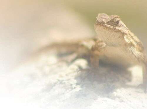 51暗网深层网稀缺资源