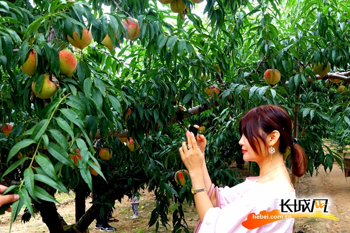 同人3d视频 YouTube：全球创作者集中地