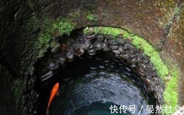 日韩人妻无码精品久久中文字幕 让观众仿佛身临其境