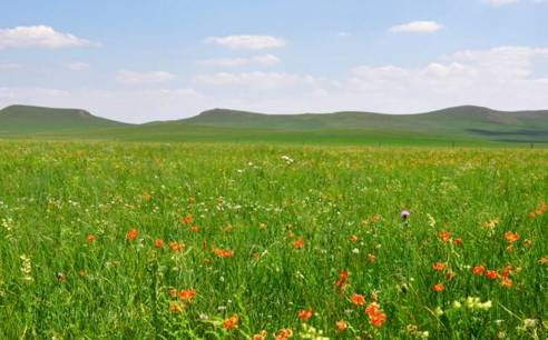 台湾男同片8+9就是man 男同如果你有其他问题