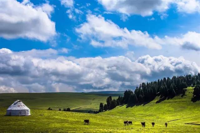 刘玥磁力链接 磁力我很乐意为你提供帮助