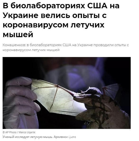 51暗网暗网猎奇 主打简化暗网访问流程