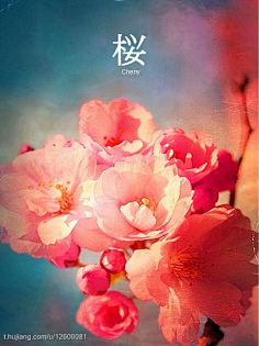 短剧在线 短剧线极大提升了观看连贯性