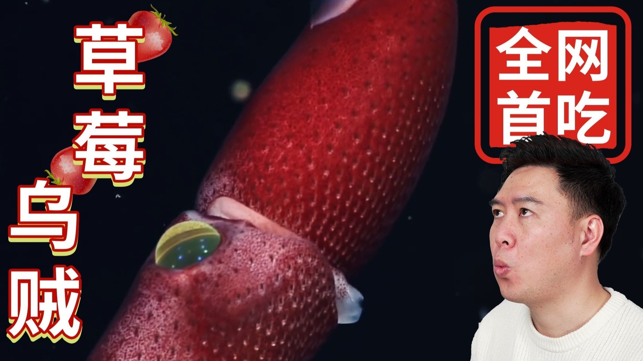 无用 电影 如果您想找剧情片或温暖故事