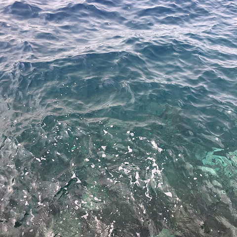 cospuri影片 请务必保持理性认知