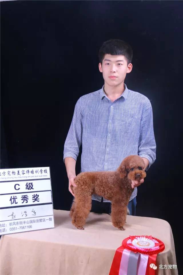 51吃瓜黑料黑料社