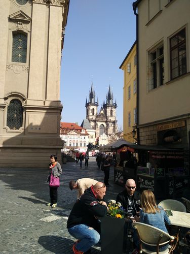 雌堕视频 关于您提到的雌堕视频内容