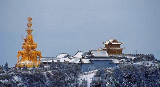 西西人体艺木 艺木同时促进自我表达