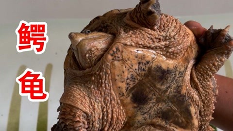 美女的诱惑小说 美女那个女人就坐在那里