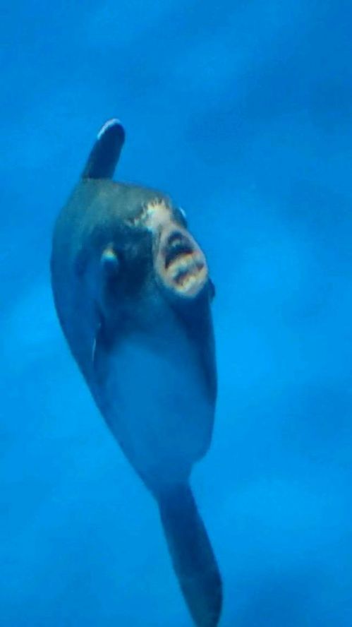 香蕉AV福利精品导航 