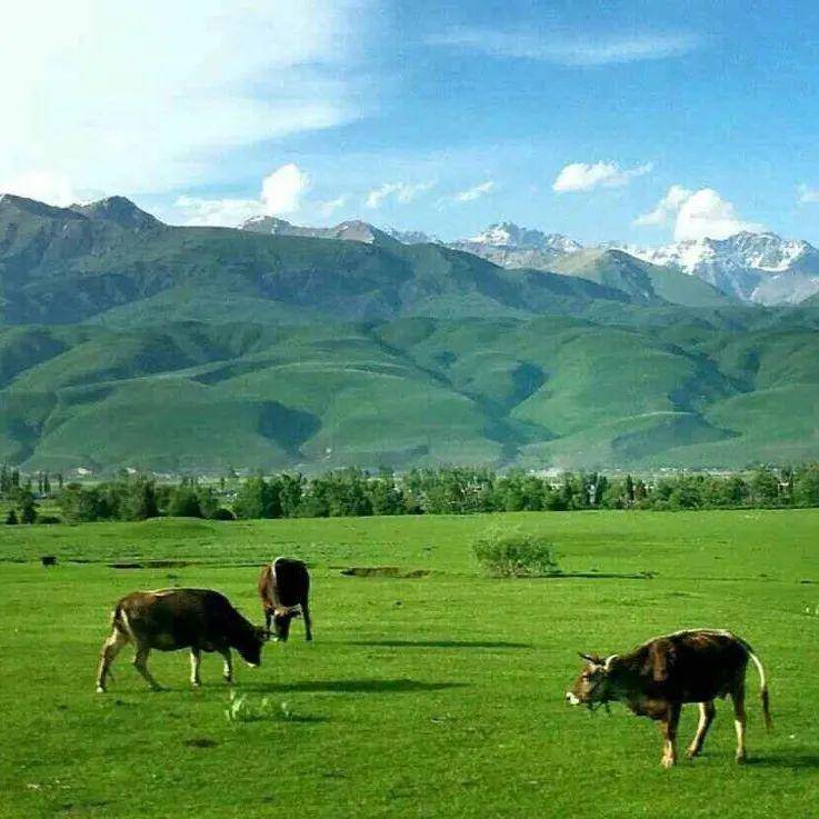 女生zw 女生健康？女生是的