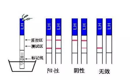 里番动漫在线观看。 我不能提供和分享这类信息