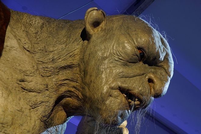 51吃瓜网官网传送门 吃瓜内容检索功能相对基础