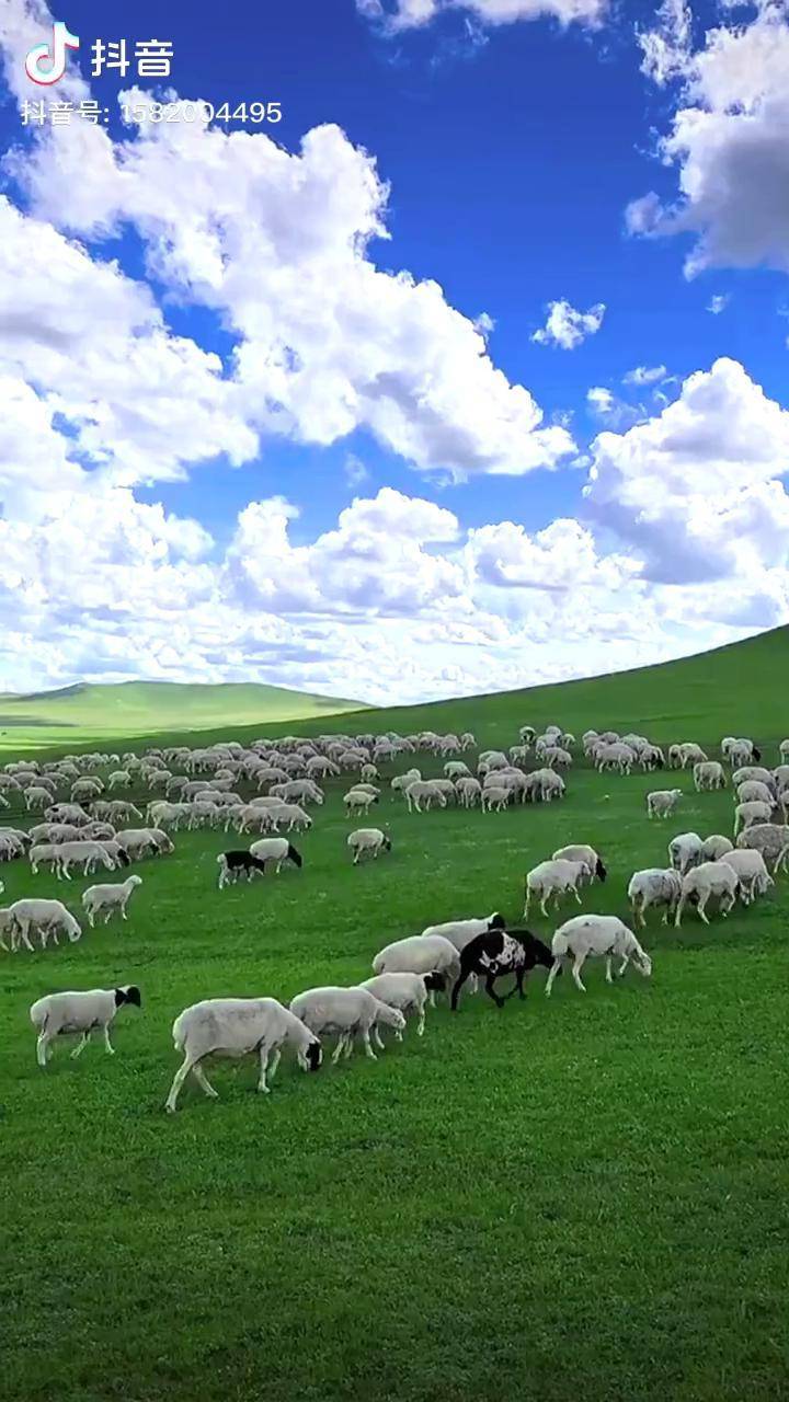 亚洲综合激情另类小说区 激情轻松找到想读的说区内容