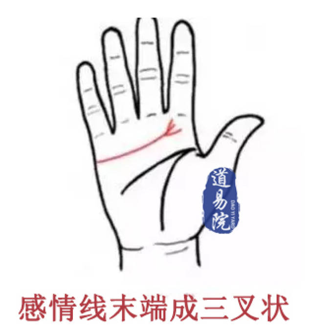 19动画网站 AWN(Animation World Network)等