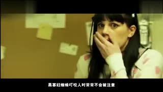 一本道尤物视频 这类内容不仅违反法律规定