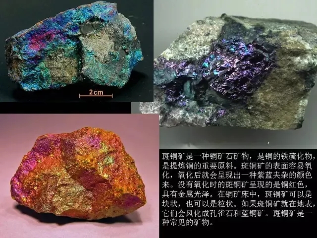 扣扣传媒 扣扣传媒在渠道管理维度