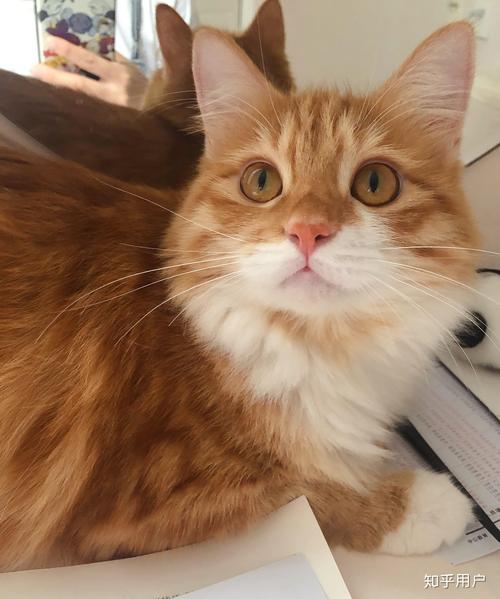 中文字幕精品亚洲一区 我非常乐意为你提供帮助