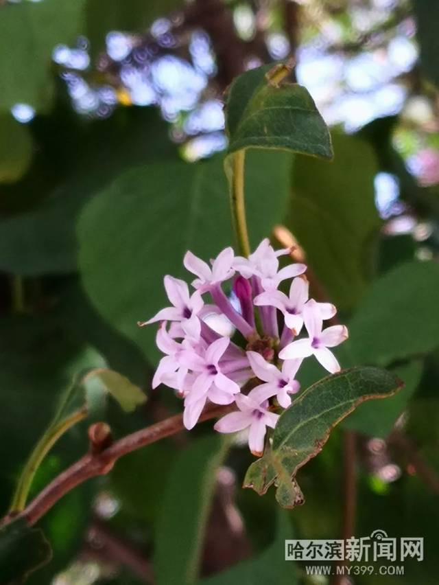 中文字幕精品亚洲一区