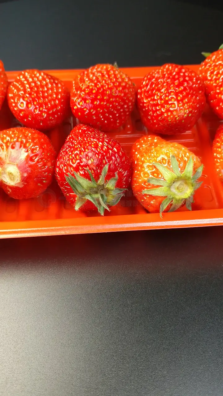 床上技巧 自愿的床上技巧同意