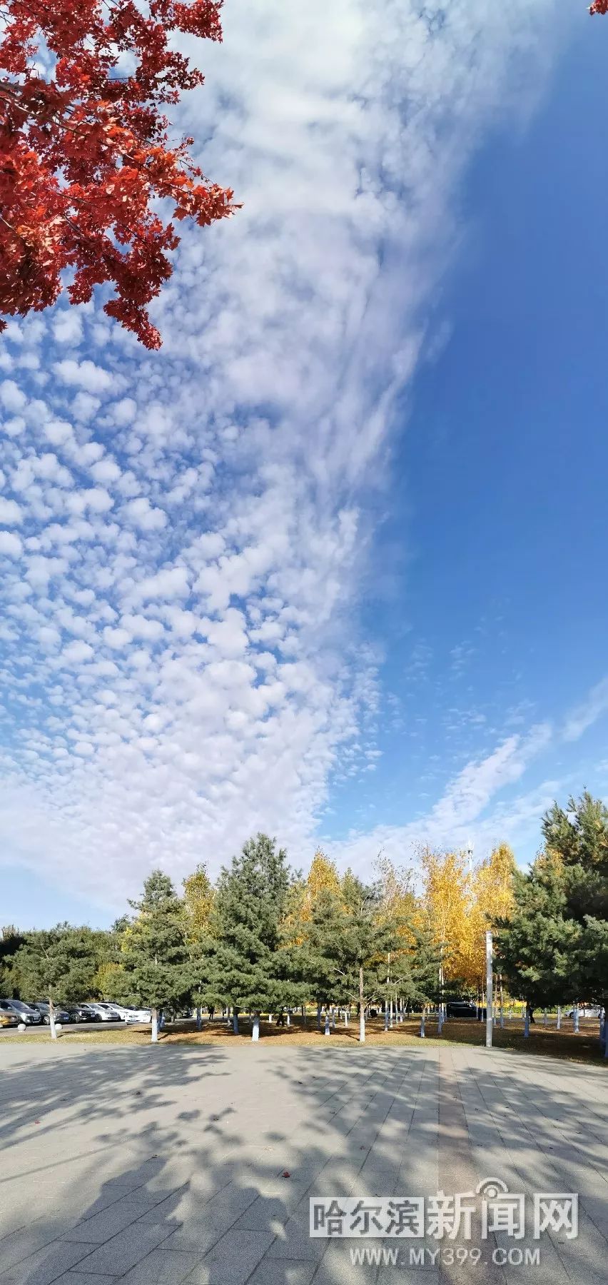 最新更新视频 为了更准确地帮到您