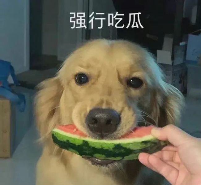 dnw视频 这个词可能有不同含义