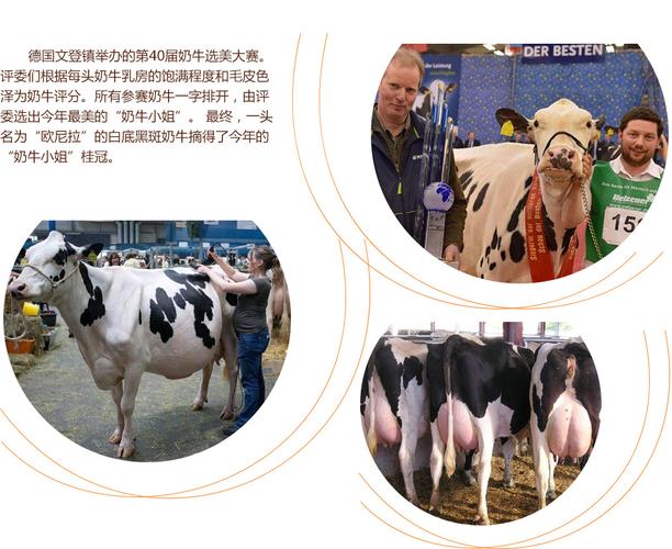 51亚洲宅男天堂在线观看 亚洲不仅给了海量视频资源