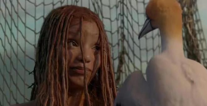 里番动漫在线观看