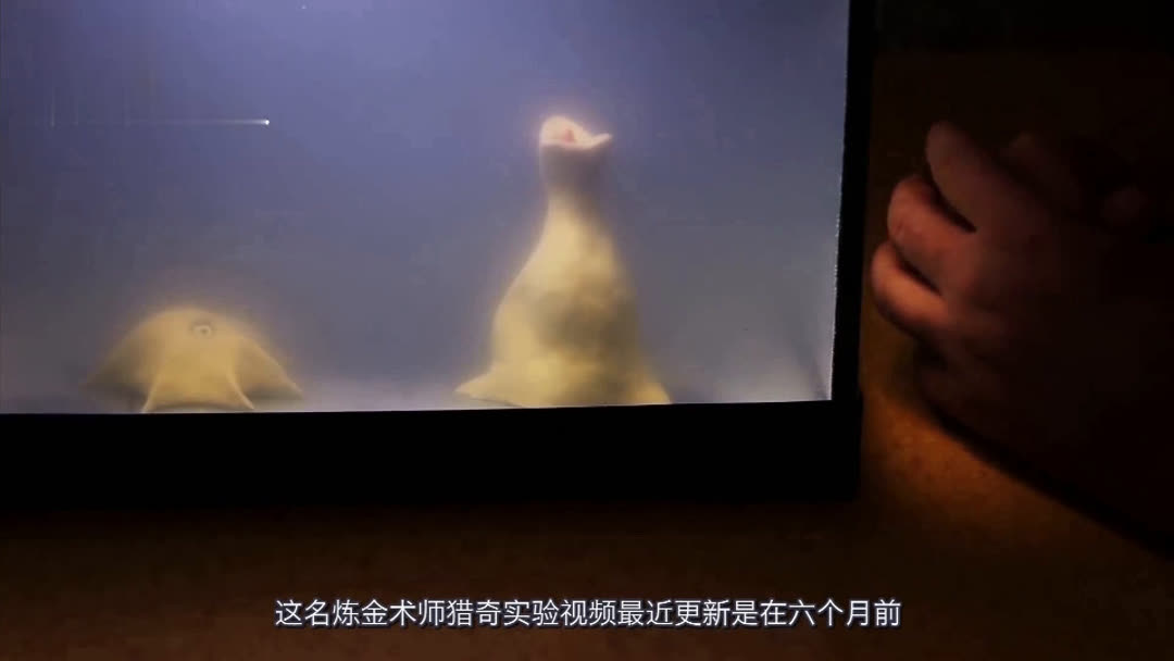 短视频在线看 科普、搞笑等高质量内容