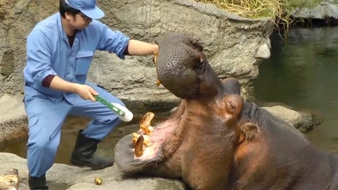 熟肉动漫 指无字幕的熟肉动漫原始版本